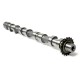 Inlet Camshaft for Ford Galaxy, Mondeo, S-Max 2.2 TDCi