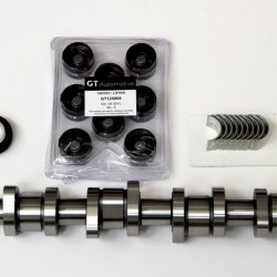 Camshaft, Hydraulic Lifters & Bearings for Ford Galaxy 1.9 TDi - ANU, ASZ, AUY, BTB