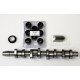 Camshaft, Hydraulic Lifters & Bearings for Seat 1.9 TDi PD