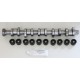 Steel Camshaft & Lifters for Volkswagen 2.5 TDi 