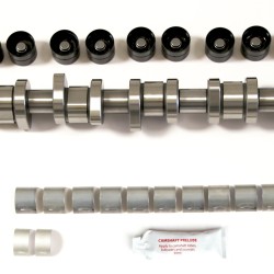 Steel Camshaft Kit with Bearings & Bolts for VW Volkswagen Transporter & Touareg 2.5 TDi PD 