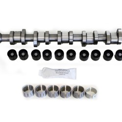 Steel Camshaft Kit with Bearings for Volkswagen 2.5 TDi