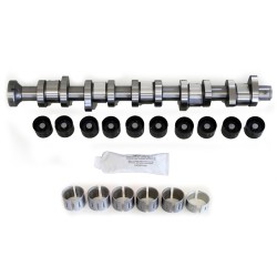 Steel Camshaft Kit with Bearings for Volkswagen 2.5 TDi