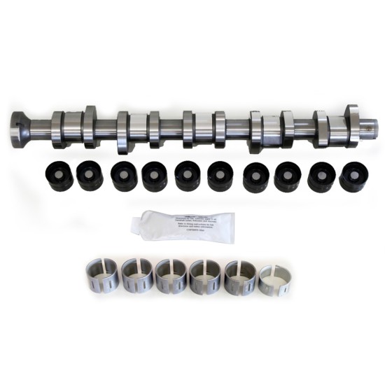 Steel Camshaft Kit with Bearings for VW Volkswagen Transporter & Touareg 2.5 TDi PD