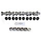 Steel Camshaft Kit with Bearings for Volkswagen 2.5 TDi