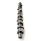 VW Volkswagen Touareg 5.0 V10 TDI Camshaft | CYL 6-10