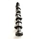 VW Volkswagen 5.0 V10 TDi AYH Camshaft  (Cyl 1-5)