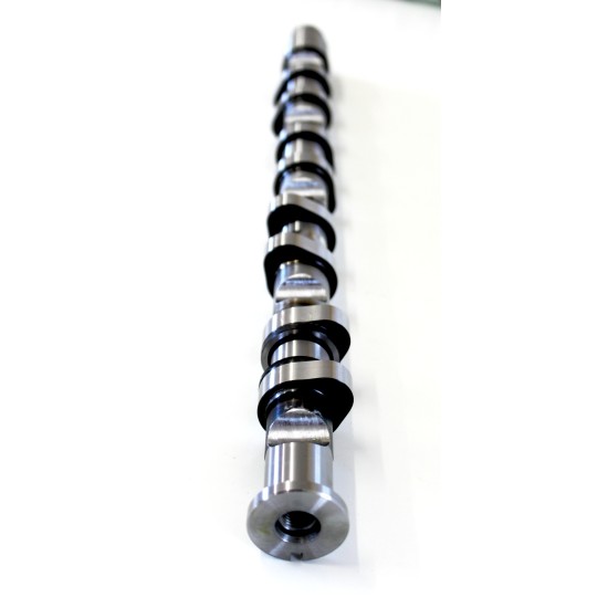 Audi A3 2.0 16v FSi 2003 > 2008 Exhaust Camshaft