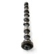 Inlet Camshaft for VW Volkswagen 1.6 & 2.0 TDi BiTurbo & Bluemotion