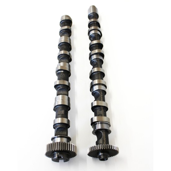 Inlet & Exhaust Camshafts for Skoda Fabia, Octavia, Rapid, Roomster, Superb & Yeti​ 1.6 & 2.0 TDi