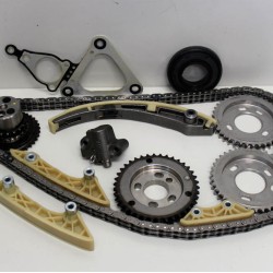Timing Chain Kit with Gears for LTi TX Taxi 2.4 16v TDi - D2FA