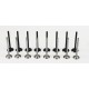 Set of Inlet & Exhaust Valves for MG ZR, ZS, ZT, TF, MGF 1.4 / 1.6 / 1.8 16v K-Series