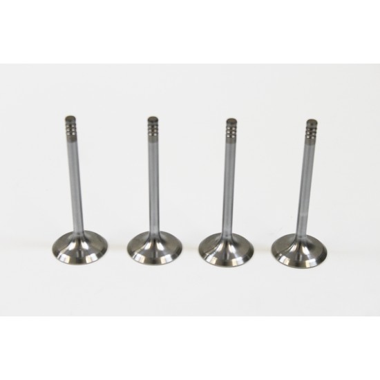 Audi A3, A4, A6 & Cabriolet 1.9 TDi Set of 4 Inlet Valves