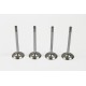 Ford Galaxy 1.9 TDi AHU, AFN, AVG Set of 4 Inlet Valves