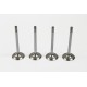 Seat Alhambra, Cordoba, Ibiza, Leon, Toledo 1.9 TDi Set of 4 Inlet Valves