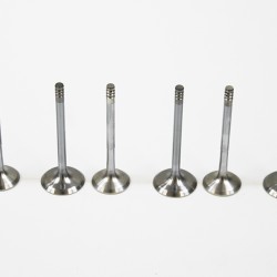 Audi A3, A4, A6 & Cabriolet 1.9 TDi Full Set of Inlet & Exhaust Valves