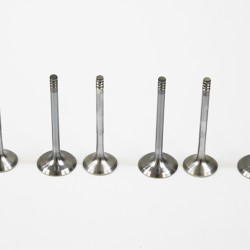 Full Set of Inlet & Exhaust Valves for Audi 1.9 TDi 