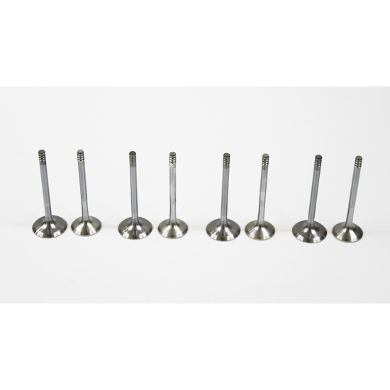 Audi A3, A4, A6 & Cabriolet 1.9 TDi Full Set of Inlet & Exhaust Valves