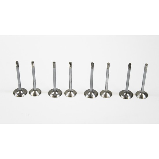 Full Set of Inlet & Exhaust Valves for Audi 1.9 TDi 