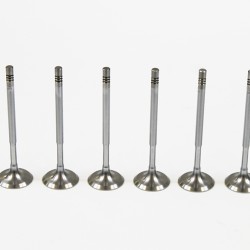 Set of 8 Inlet Valves for Seat 1.4 & 1.6 16v TSi