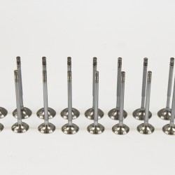 Full Set of Inlet & Exhaust Valves for Audi A1, A2, A3 1.4 & 1.6 16v FSi / TFSI