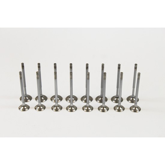Full Set of Inlet & Exhaust Valves for Audi A1, A2, A3 1.4 & 1.6 16v FSi / TFSI