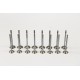 Set of Inlet & Exhaust Valves for Seat 1.4 & 1.6 16v TSI