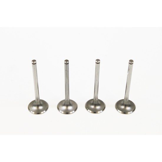 Set of 4 Inlet Valves for Rover 200 & 400 1.8 TD XUD7TE