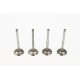 Set of 4 Inlet Valves for Peugeot 1.8 & 1.9 D / TD XUD7 / DW8 / XUD9