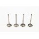 Set of 4 Inlet Valves for Citroen 1.8 & 1.9 D / TD XUD7 / DW8 / XUD9