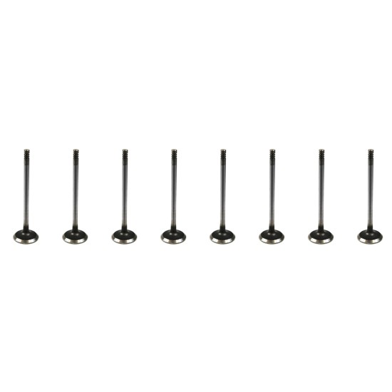 Set of 8 Inlet Valves for Citroen C4, C5, C8 & Dispatch 2.0 & 2.2 HDi 16v