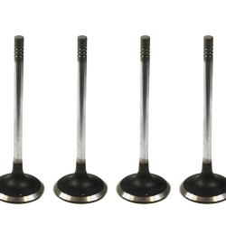 Set of 4 Inlet Valves for Citroen C1, C2, C3, Nemo & Xsara 1.4 HDi 8HS, 8HT, 8HX - DV4TD