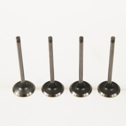 Renault 1.5 K9K DCi Set of 4 Inlet Valves