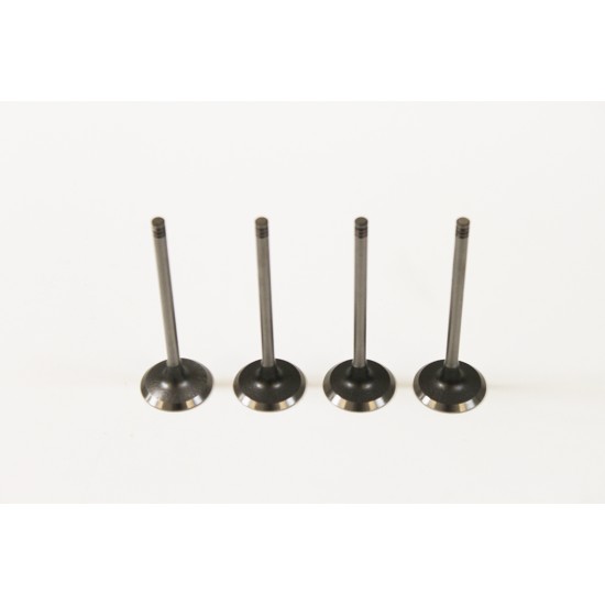 Nissan 1.5 K9K DCi Set of 4 Inlet Valves