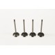 Nissan 1.5 K9K DCi Set of 4 Inlet Valves