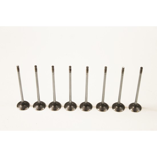 Set of 8 Inlet Valves for Alfa Romeo 147, 156, 159, Giulietta & GT 1.9 & 2.0 D Multijet / JTD