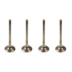 Set of 8 Inlet Valves for Seat Altea, Leon & Toledo 2.0 16v TDi - AZV & BKD