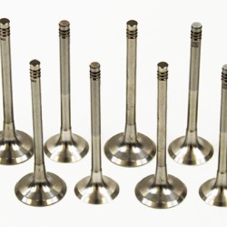 Full set of Inlet & Exhaust Valves for Audi A3, A4 & A6 2.0 TDi 16v