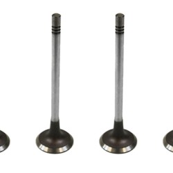 Set of 8 Inlet Valves for Citroen Berlingo, C2, C3, C4, C5, Dispatch & Xsara 1.6 HDi - DV6