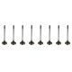 Set of 8 Inlet Valves for Citroen Berlingo, C2, C3, C4, C5, Dispatch & Xsara 1.6 HDi - DV6