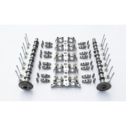 Ladder Rack / Bridge 2x Camshafts, Rocker Arms & Hydraulic Lifters & Valves for BMW 2.0 Diesel