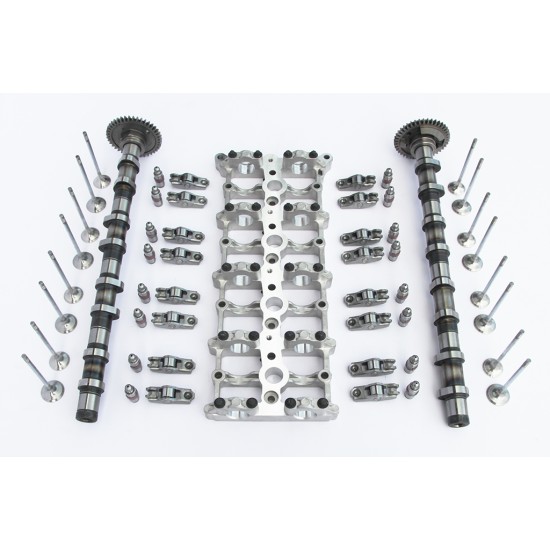 Ladder Rack / Bridge 2x Camshafts, Rocker Arms & Hydraulic Lifters & Valves for BMW 2.0 Diesel