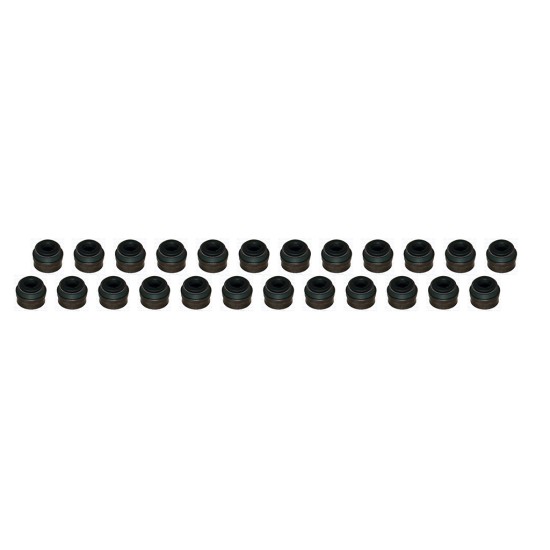 Set of 24 Valve Stem Seals for BMW 3.2 24v M3, Z3, Z4 S54B32