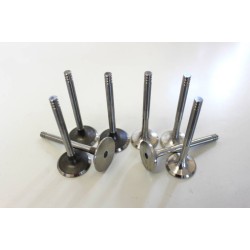 Full set of Engine Valves for Ford Galaxy 1.9 TDi ANU, ASZ & AUY
