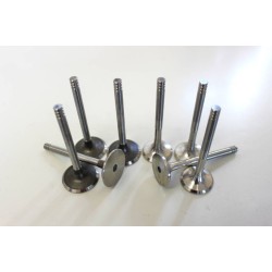 Full set of Engine Valves for VW Volkswagen 1.9 TDi