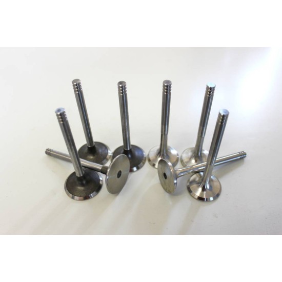 Full set of Engine Valves for Seat Cordoba, Ibiza, Alhambra, Leon, Toledo 1.9 8v TDi