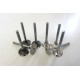 Full set of Engine Valves for Audi A3, A4 & A6 1.9 TDi