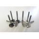 Full set of Engine Valves for Ford Galaxy 1.9 TDi ANU, ASZ & AUY