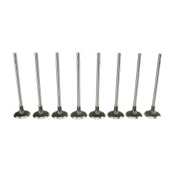 Set of 8 Inlet Valves for BMW 114, 116, 118 120, 316 & 320 1.6 16v N13B16A
