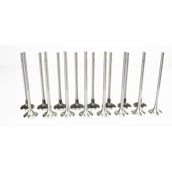 Set of Inlet & Exhaust Valves for Citroen Berlingo, C4, C5, DS3, DS4, DS5 1.6 16v THP / VTi EP6